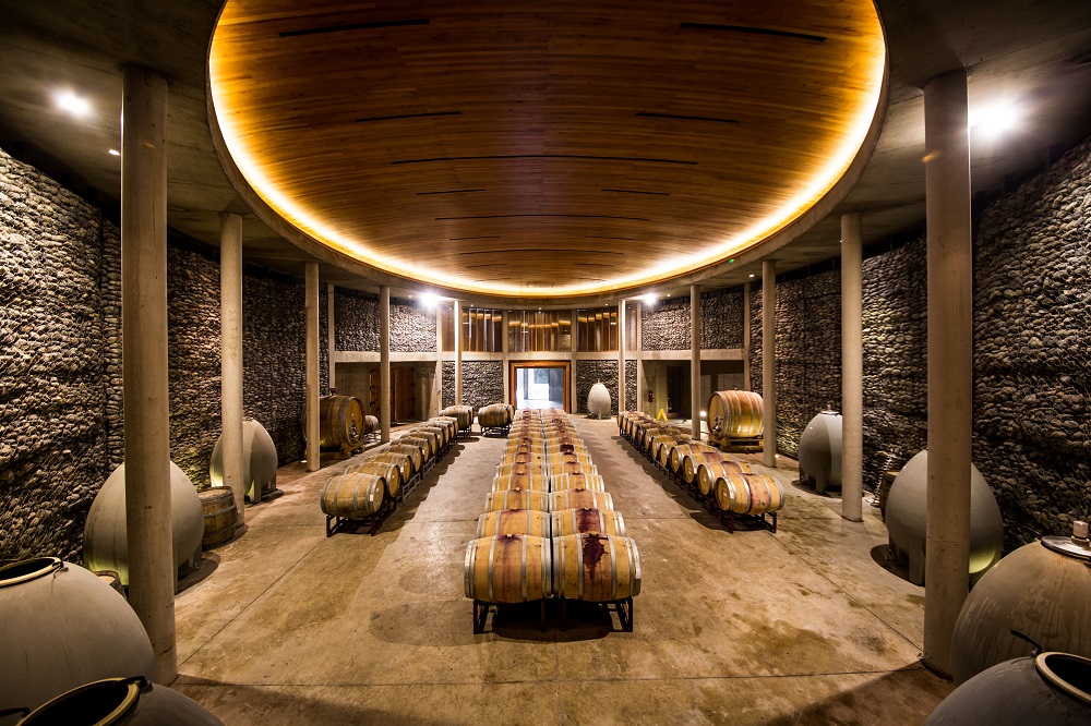 Vinícola no Chile produz vinhos orgânicos e abre para visitação turística