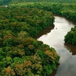 Manaus sediará 1º Congresso Internacional de Saúde Animal e Ambiental em junho