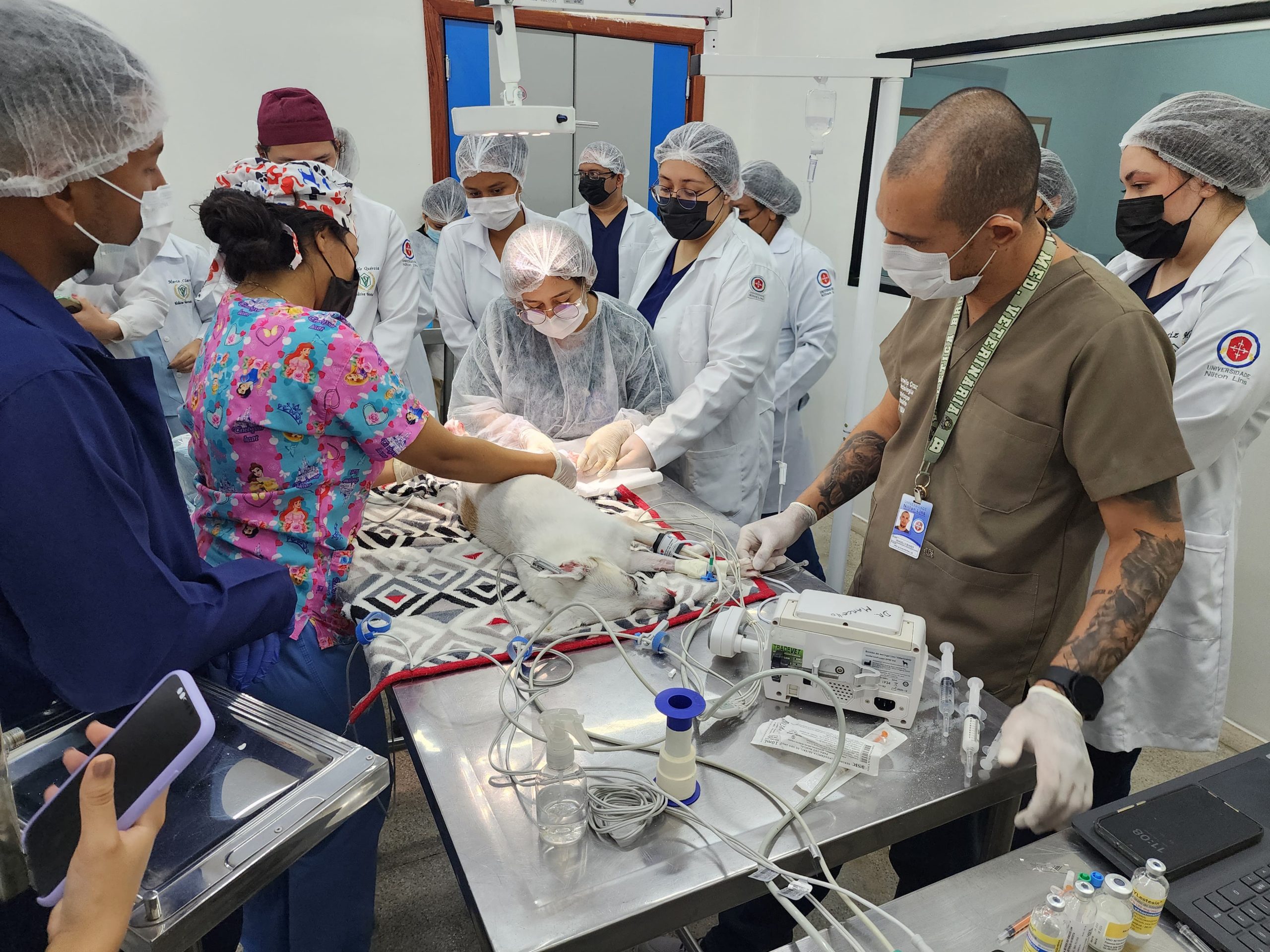 Hospital veterinário expande e inicia cirurgias de castração de pets em Manaus