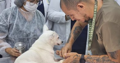 Julho Dourado alerta para importância da vacinação e check-ups veterinários dos pets