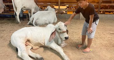Feira Agro: maior evento do setor primário no AM começa nesta quarta (6) em Manaus