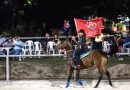 Setor primário: Feira Agro traz ampla programação de cursos, palestras e shows em Manaus