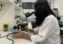 Jornada farmacêutica explora potencial da biodiversidade amazônica na saúde
